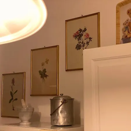 Sopra I Tetti Di Appartamento