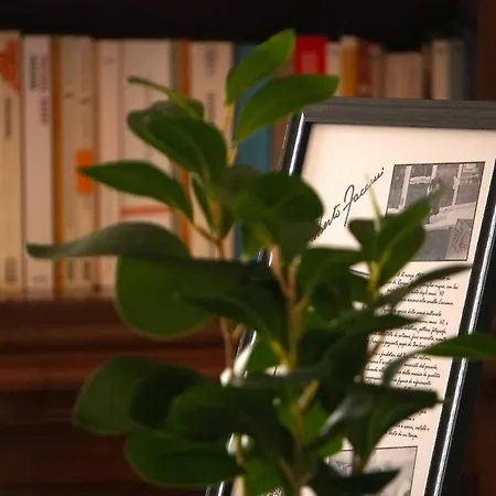 Sopra I Tetti Di Appartamento